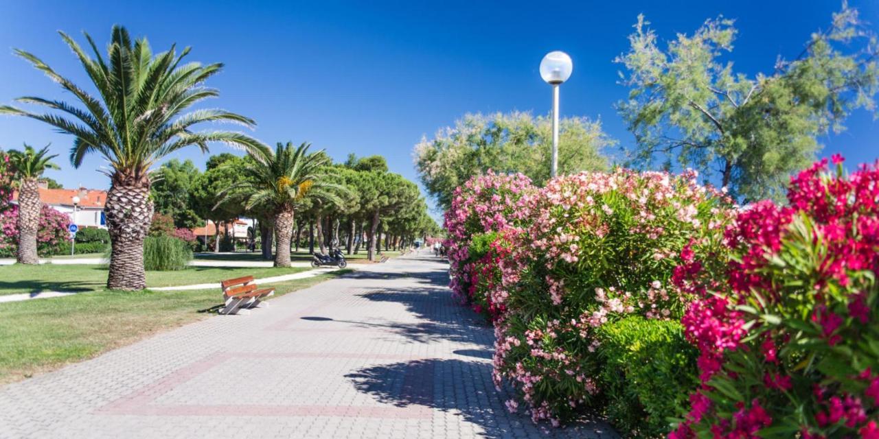 Ferienwohnung Les Pieds Dans Le Sable Argelès-sur-Mer Exterior foto